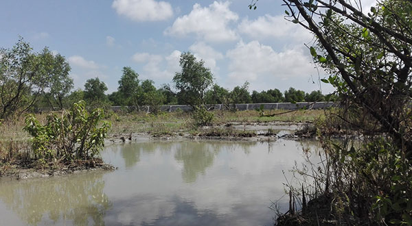 Bangladesh Accelerates Plan to Place Rohingyas on an Isolated Island Bangladesh Accelerates Plan to Place Rohingyas on an Isolated Island